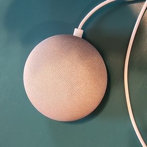 Google Home Mini Device